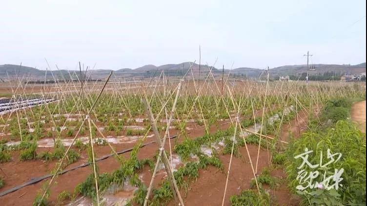 welcometo欢迎光临888集团(中国)有限公司